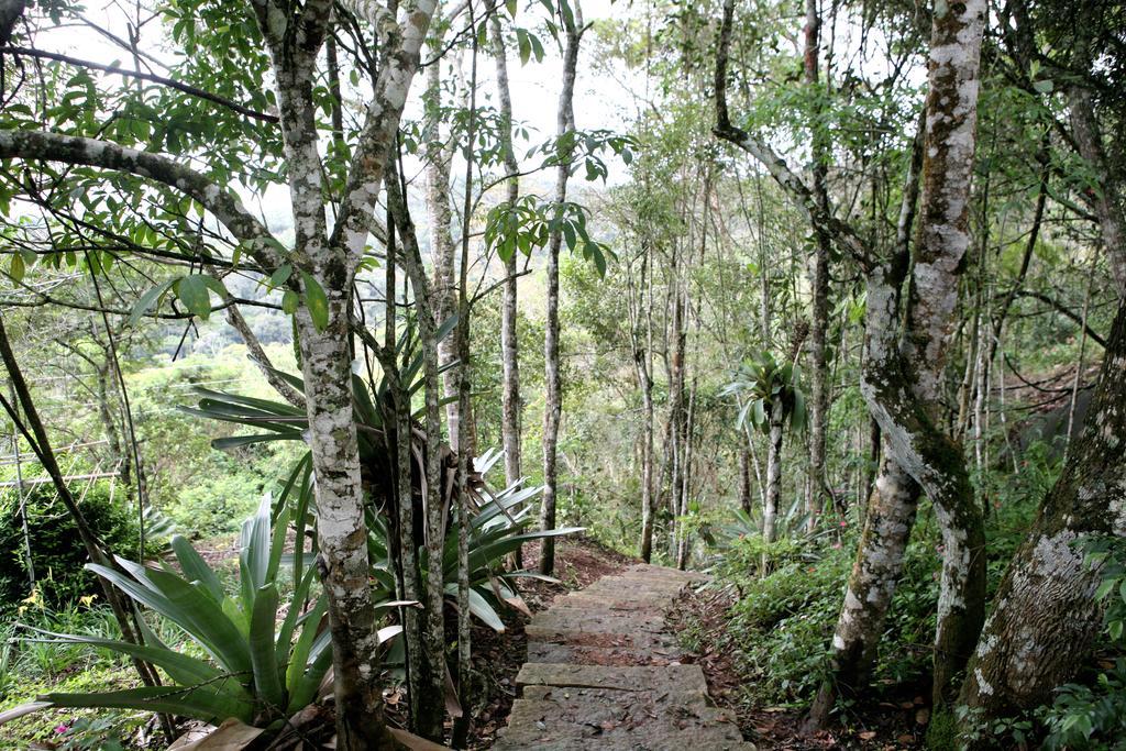 Aroso Paço Hotel Pedra Azul  Extérieur photo A trail in the park